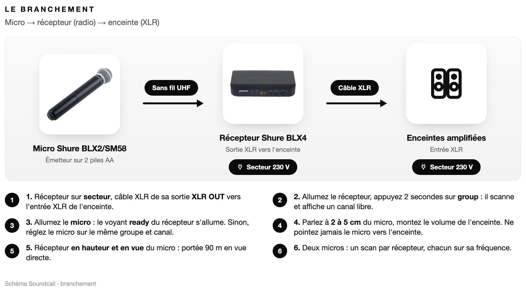 Schéma : Le branchement Shure BLX24/SM58
